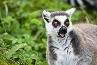 10 Surprising Ways CRM Can Help (And Can't Help) Your Business